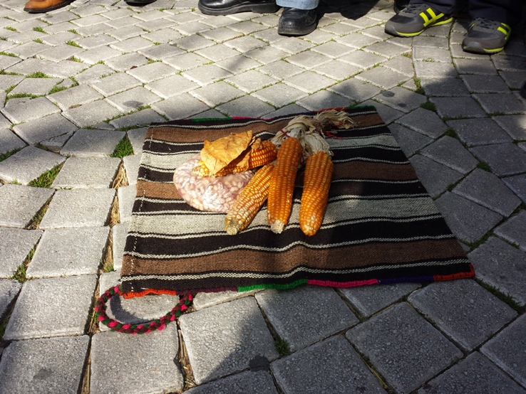 miting (9).jpg